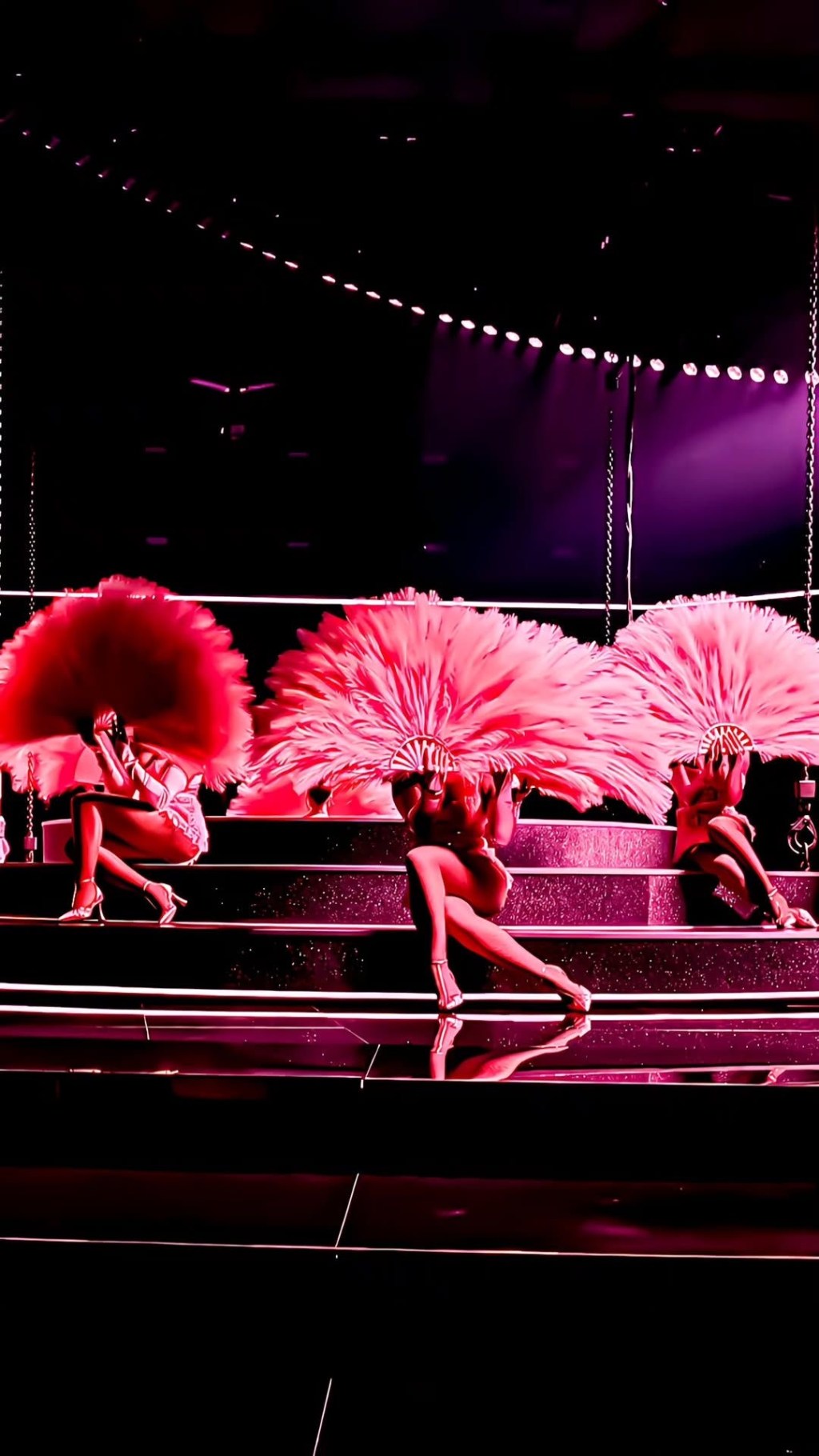 Feathers can only dance